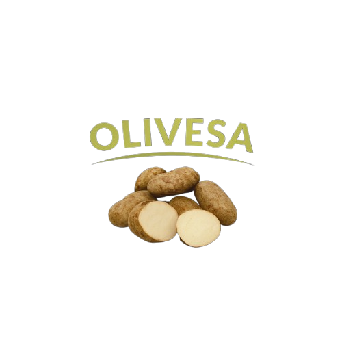 logo_olivesa-removebg-preview